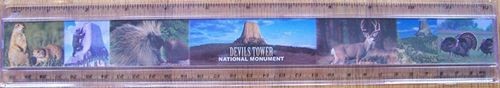 Devils Tower NHA I Devils Tower NM Ruler