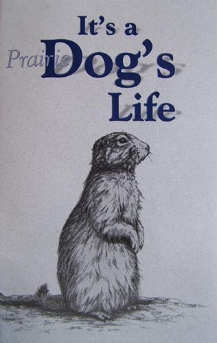 It's a Prairie Dog's Life