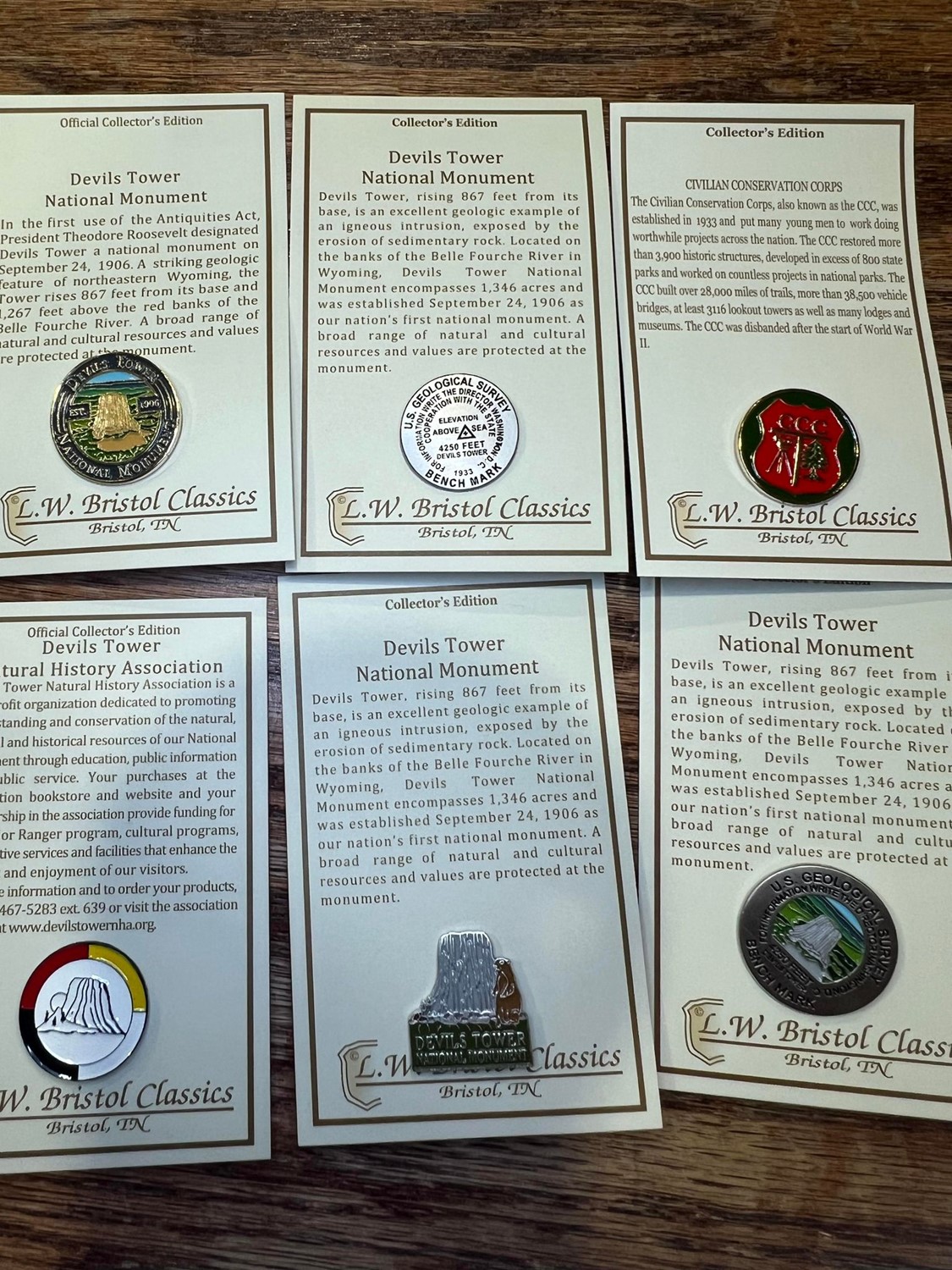 Lapel Pins 202403-02