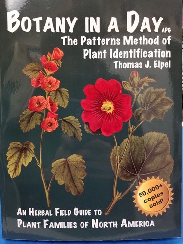 Botany in a Day 2154