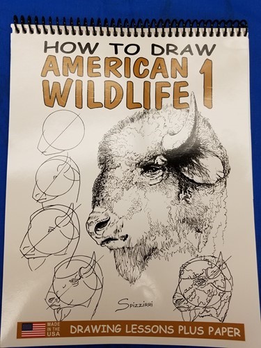 Draw Me American Wildlife 1